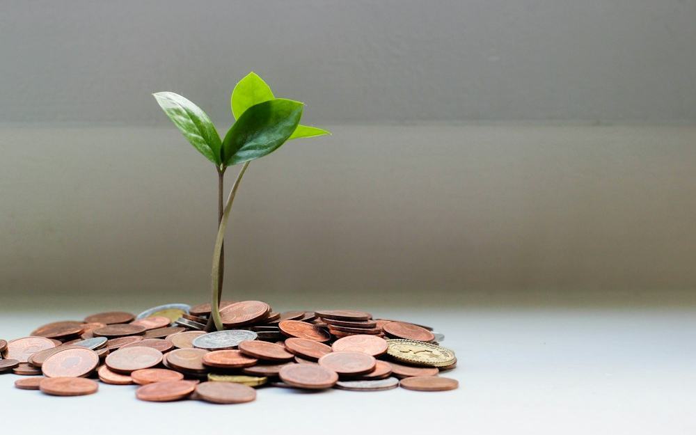How to price recurring bookkeeping and tax work in Canada